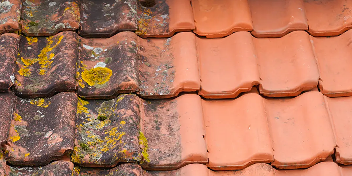 Hydrofuge & Démoussage de Toiture